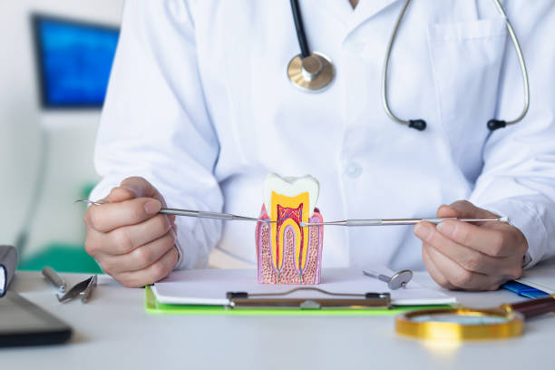Best Broken Tooth Emergency  in East Marion, NY